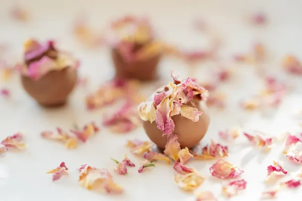 Otto Kasino Aip Android/iOS